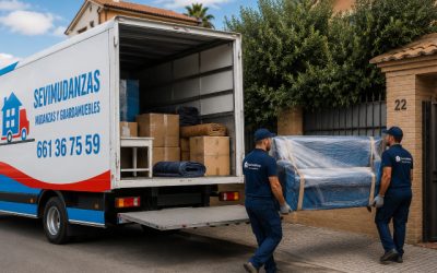 Mudarte en el Aljarafe: problemas reales que nadie te cuenta